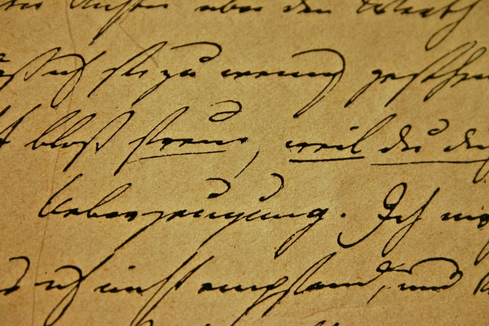 We Need Words That Save Us