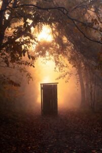 A wooden door slightly ajar on a misty autumn path, bathed in warm golden light filtering through the trees, symbolizing the courage to begin again