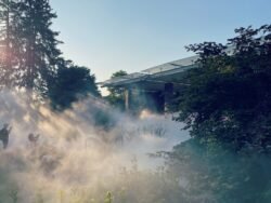 Fondation Beyeler - Riehen - 2024